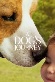 A Dog’s Journey A Dog’s Journey