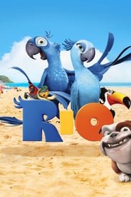 Rio Rio