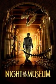 Night at the Museum Night at the Museum