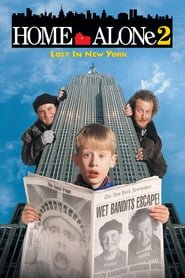 Home Alone 2: Lost in New York Home Alone 2: Lost in New York